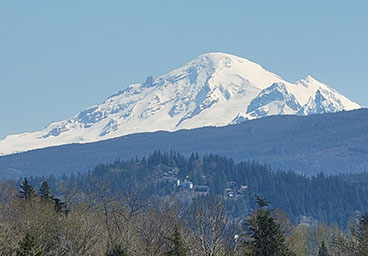 Mt. Baker from Library